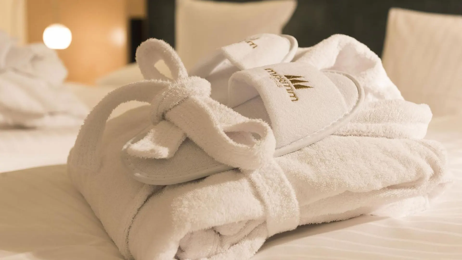 Maritim Hotel Amsterdam Niederlande